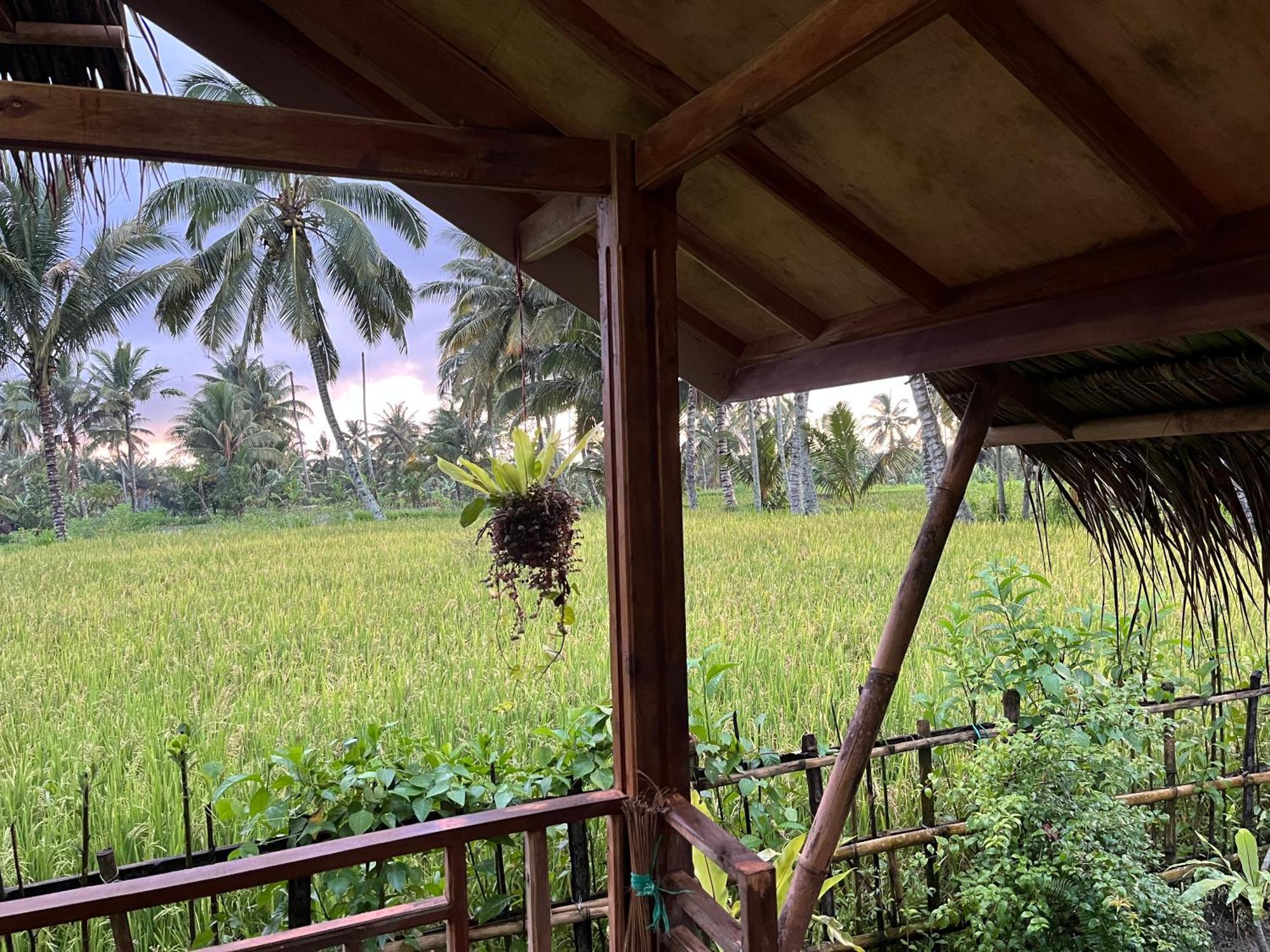 Syaqila Homestay Lombok Tetebatu Eksteriør bilde