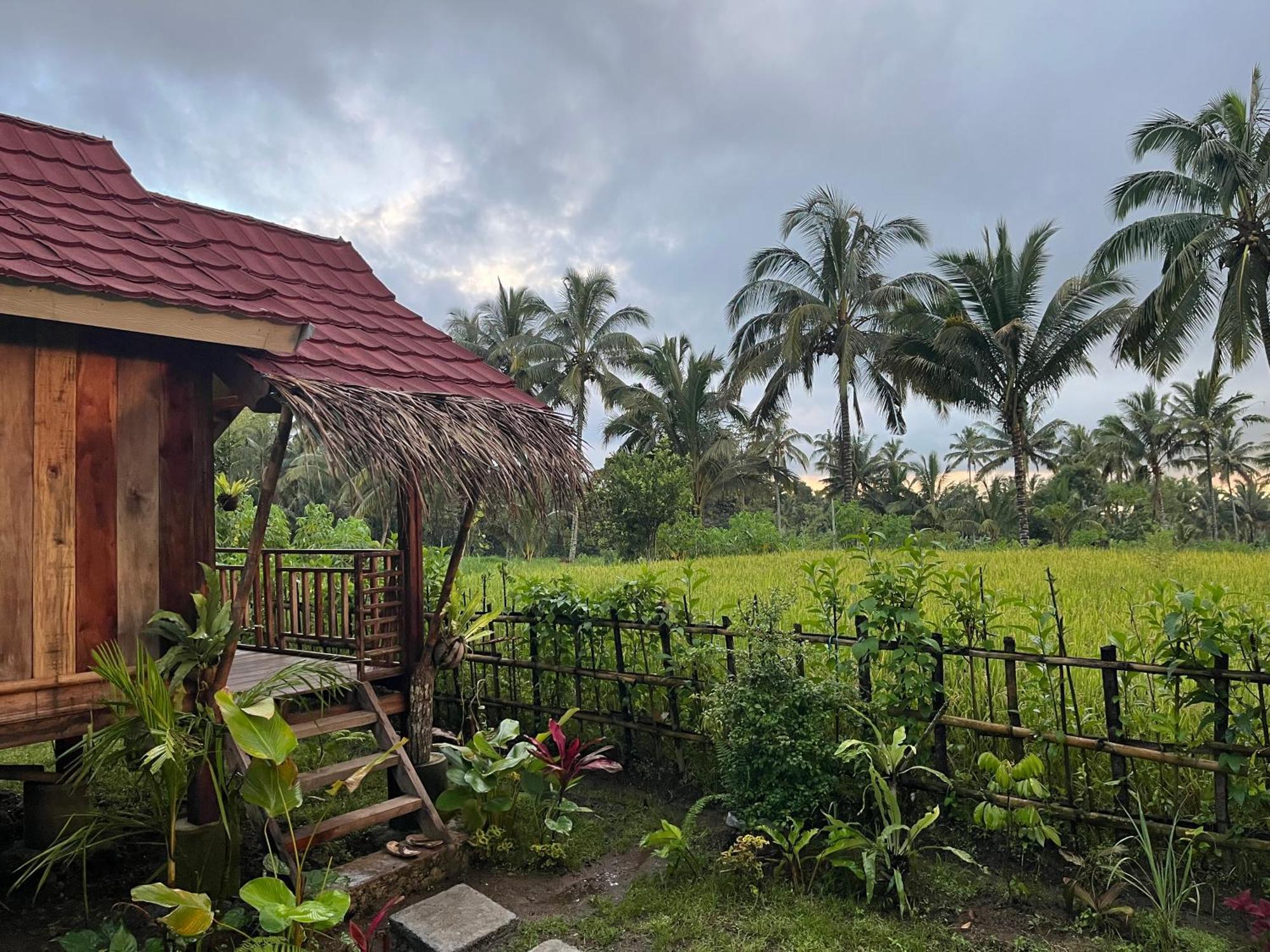 Syaqila Homestay Lombok Tetebatu Eksteriør bilde