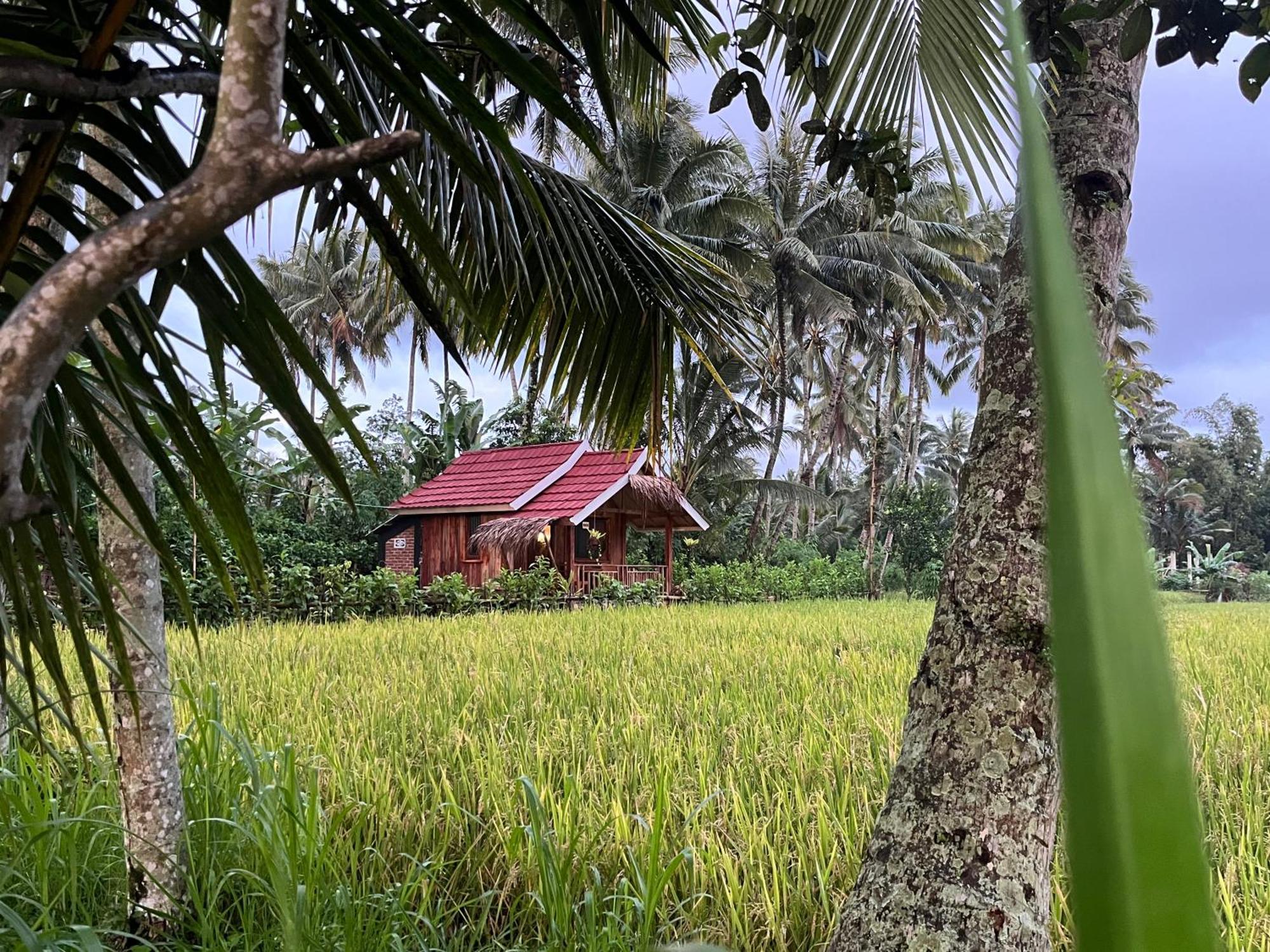 Syaqila Homestay Lombok Tetebatu Eksteriør bilde
